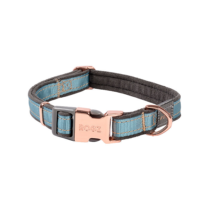 Rogz Urban Collar Köpek Boyun Tasması Medium - Turkuaz - 1