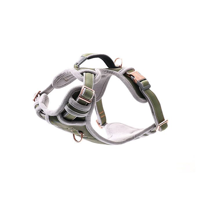Rogz Urban Explore Tuig Köpek Göğüs Tasması Medium - Yeşil - 1