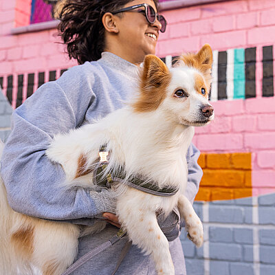 Rogz Urban Fast Fit Tuig Köpek Göğüs Tasması Small - Gri - 3