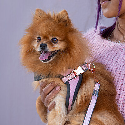 Rogz Urban Fast Fit Tuig Köpek Göğüs Tasması Xsmall - Pembe - 4