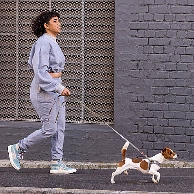 Rogz Urban Line Köpek Gezdirme Kayışı Large - Yeşil - 3