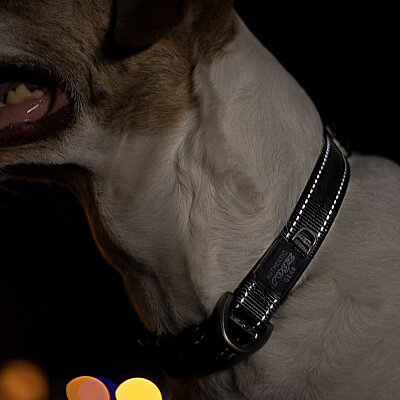 Rogz Utility Collar Köpek Boyun Tasması Large - Siyah - 3