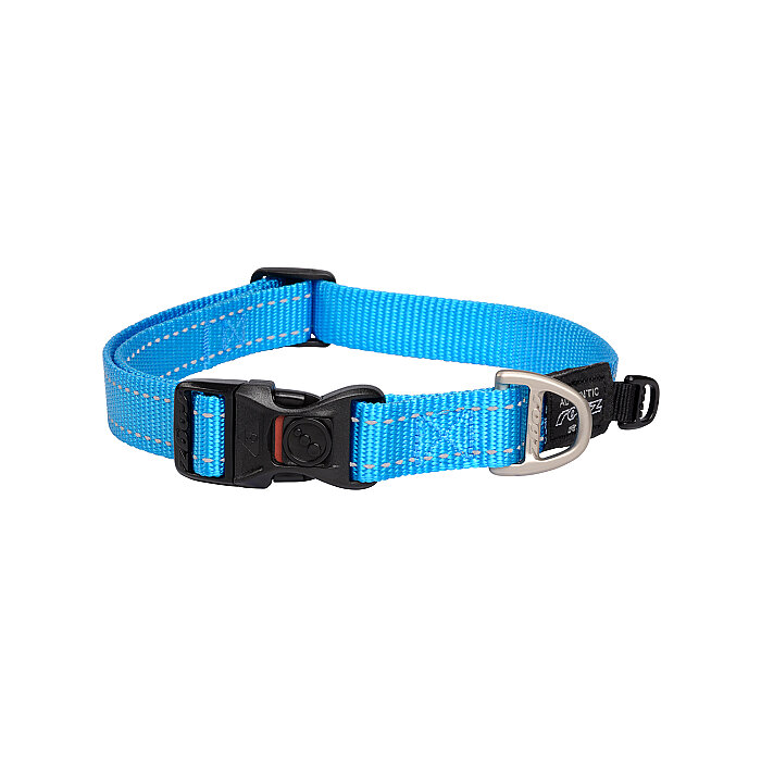 Rogz Utility Collar Köpek Boyun Tasması Large - Turkuaz - 1