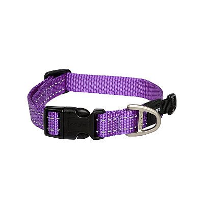 Rogz Utility Collar Köpek Boyun Tasması Medium - Mor - 1