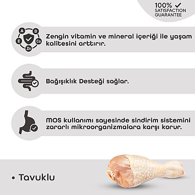 Teqir Yavru Kuru Kedi Maması Tavuklu 10 Kg - 3