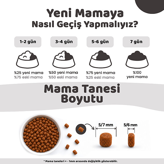 Teqir Yavru Kuru Kedi Maması Tavuklu 10 Kg - 5